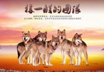 【德國(guó)KHC鎢鋼銑刀】如何打造狼性銷(xiāo)售團(tuán)隊(duì)