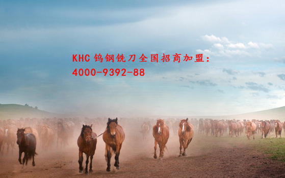 德國(guó)數(shù)控鎢鋼銑刀