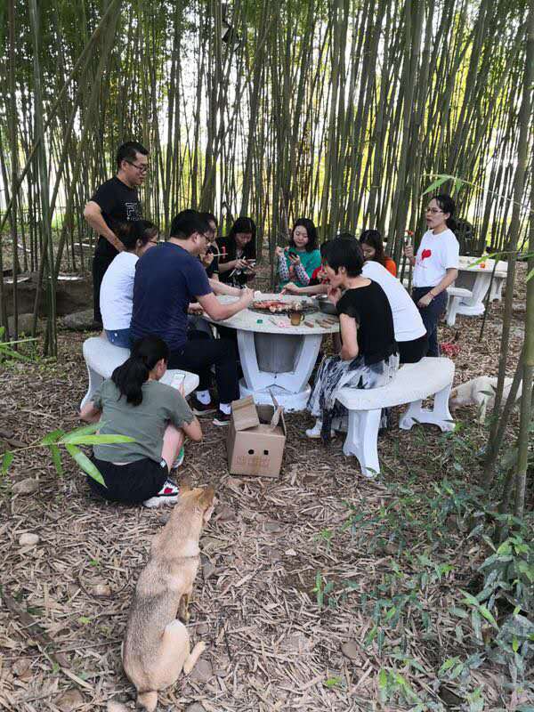 高速銑刀